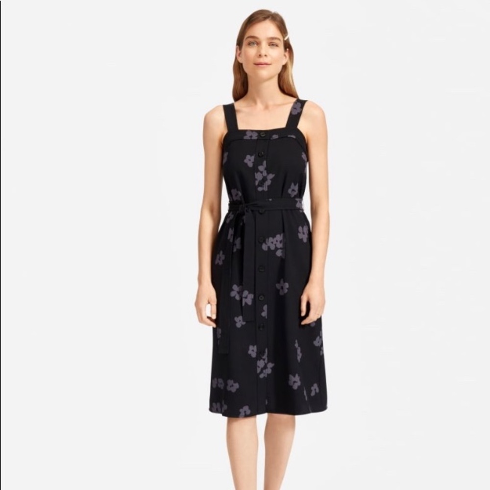 Everlane Japanese GoWeave Picnic Dress
